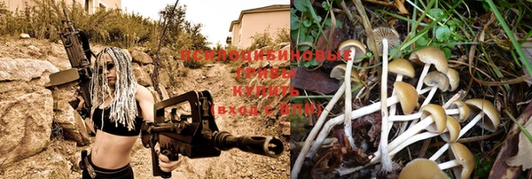 ALPHA-PVP Корсаков