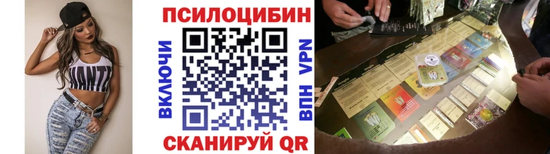 закладки  Оренбург  Галлюциногенные грибы GOLDEN TEACHER 