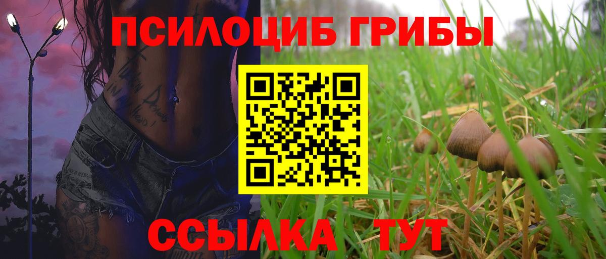 Псилоцибиновые грибы MAGIC MUSHROOMS Оренбург